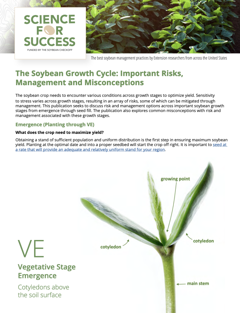 A document with the title: "The soybean growth cycle" and an image of a young soybean plant