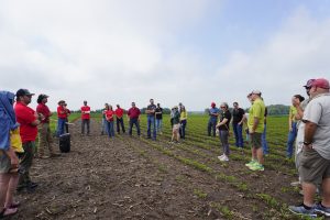 Excellence in Extension, A group of approximately 30 individuals stand in a circle in a soybean field for a field day.