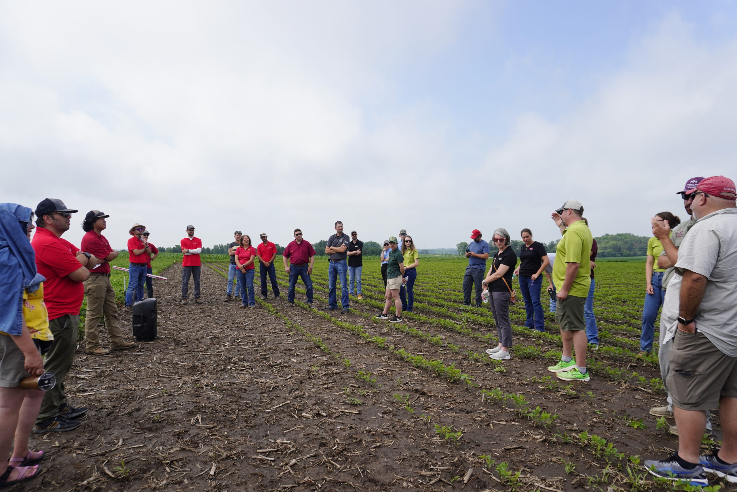 Excellence in Extension, A group of approximately 30 individuals stand in a circle in a soybean field for a field day.